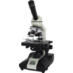 �Ϲ�BM�ː�ķ-����r��